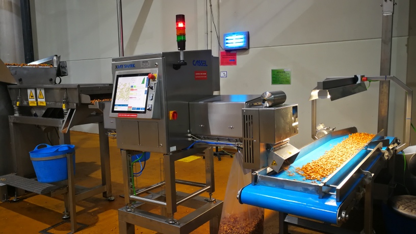 Equipo de inspección por rayos X de Ibercassel inspeccionando frutos secos a granel