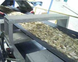 Detector de metales Shark TU para la industria